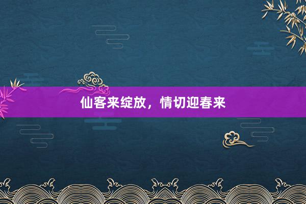 仙客来绽放，情切迎春来